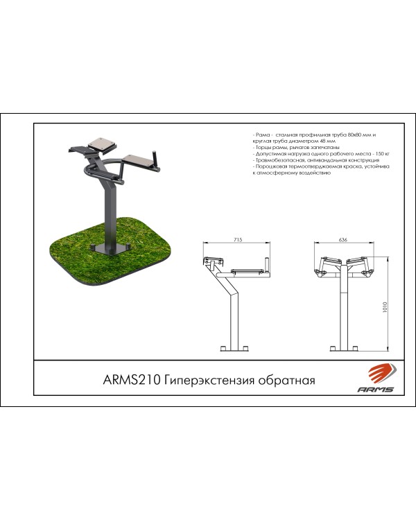 ARMS210 Гиперэкстензия обратная